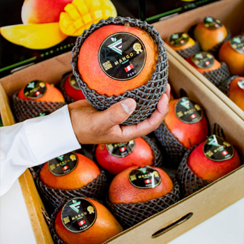Sacoche mango sale