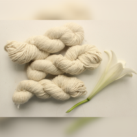 HandSpun Yarn