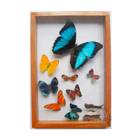 frame picture wood