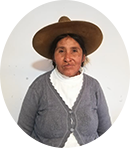 CLEMENCIA MAMANI