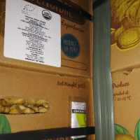 Fresh Organic Turmeric