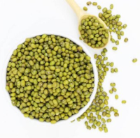 Mung Beans 0.5 kg to 50 kg - Ecoinca