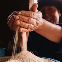 Quinua Ecoinca Producer