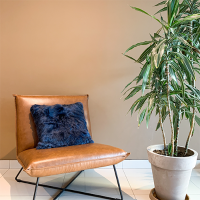 Suri Cushion Cover