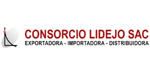 CONSORCIO LIDEJO S.A.C.