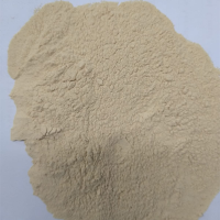 Jergon Sacha Dracontium Loretensi Food Supplement