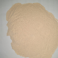 Jergon Sacha Dracontium Loretensi Food Supplement