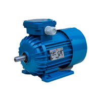 Electric Motors