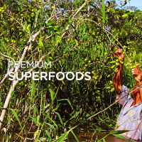 Camu Camu Fruit Powder