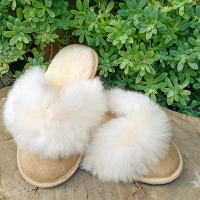 Classic slippers with alpaca border