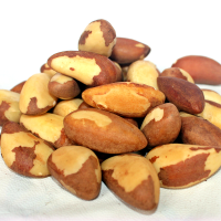 Amazon Nut