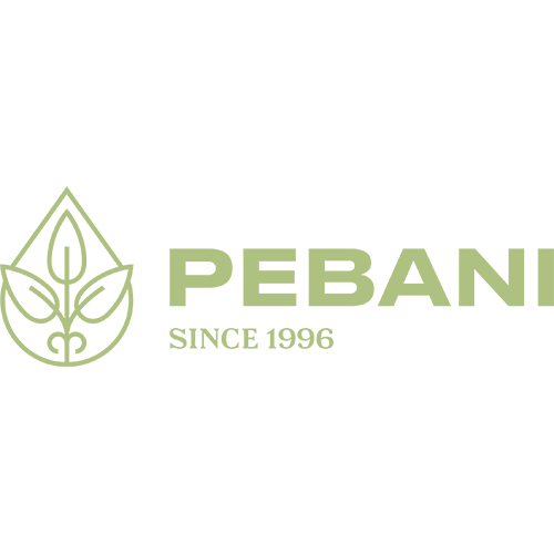 PEBANI INVERSIONES SOCIEDAD ANONIMA