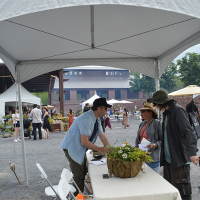Kingston Summer Fair - New York 2019