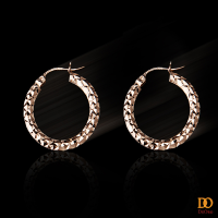Circular Earrings