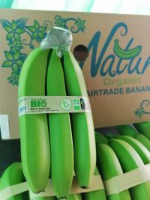 Organic Banana, GLOBALGAP, FAITRADE. 