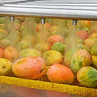 Product Selection 