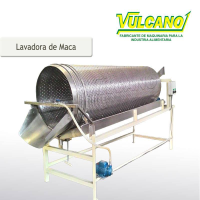 Rotary Washer
