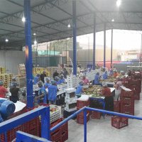 Servinca