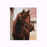 Handwoven Tapestry with Horse Design 