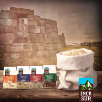 Inca Sur