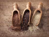 Organic Quinoa Powder from 20 Kg