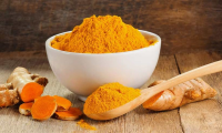 Organic Turmeric Powder from 20 Kg.