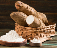 Cassava Powder from 20 Kg