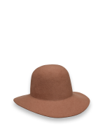felt brown hat
