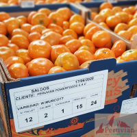 Mandarina Fresca