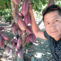 Cocoa Beans 70kg