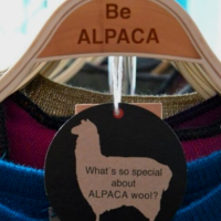 BE ALPACA WHO´S NEXT PARIS 2019