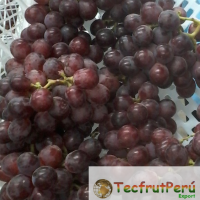 Fresh Grape