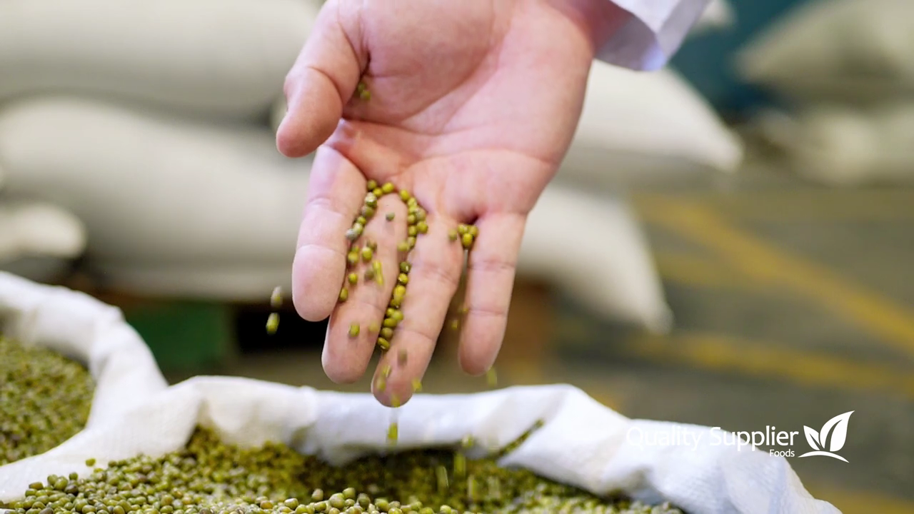 High Quality Mung Beans Video sign