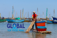 GLOBAL TOP FOOD PERU