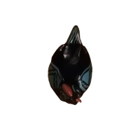 Candy Bearing Hen
