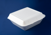 Rc100 White Foam Container Of Food