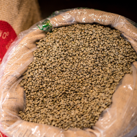 Green Coffee 152.12 lbs/ Cafe Femenino