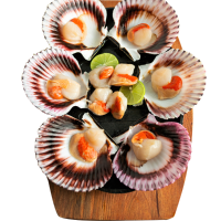Scallops Shells