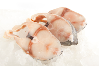 Mahi mahi steaks