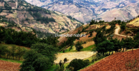 Cruz Campo