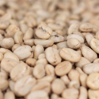 Green Paramo Coffee