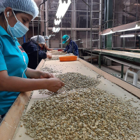 ASOCIACIÓN DE PRODUCTORES CAFETALEROS ALPES ANDINOS