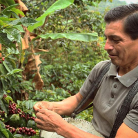 ASOCIACIÓN DE PRODUCTORES CAFETALEROS ALPES ANDINOS
