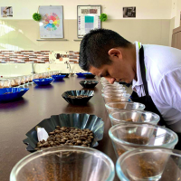 ASOCIACIÓN DE PRODUCTORES CAFETALEROS ALPES ANDINOS