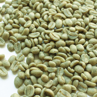 Green Coffee Beans Grade 1