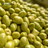 Aceitunas Verdes Enteras en Salmuera