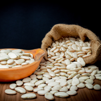 Lima Bean in 1000 kg Bags