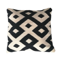 Pillows Cushions Covers
