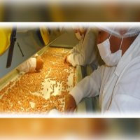 Kallpa Foods
