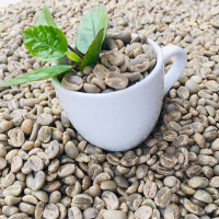 Green Bean Coffee